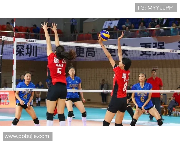 张强专访：揭秘排球背后的成功秘诀与奋斗历程